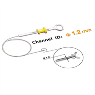 កម្លាំងរំលាយអាហារកម្លាំងរំលាយអាហារ