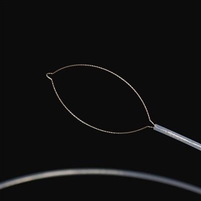 ប្រភេទថ្គាមរបស់ខេត្ត JAW ប្រភេទបរទេស