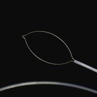 ប្រភេទតួឯកសិទ្ធិ